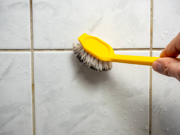 Best Attic Mold Removal  in Hooks, TX