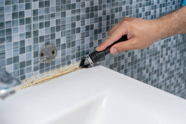 Best Office Mold Removal Services  in Hooks, TX