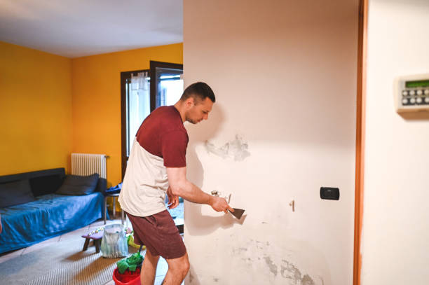 Best Mold Removal Near Me  in Hooks, TX